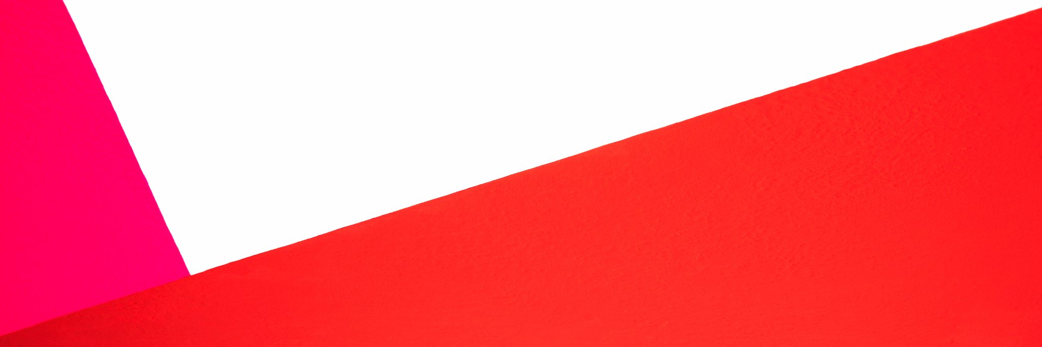 ester grossi banner