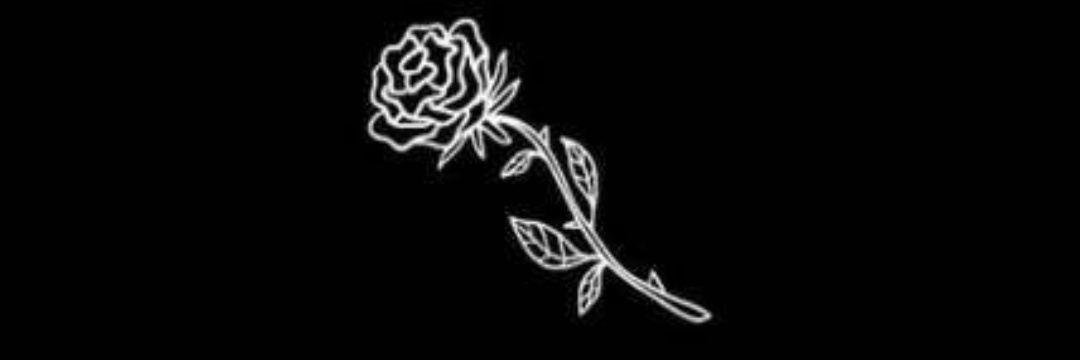 ann. banner