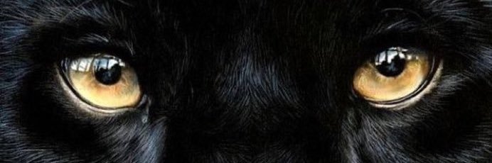 Nebra$ka Jone$ ❄️'s banner