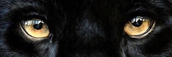 CherryTNT_ Profile Banner