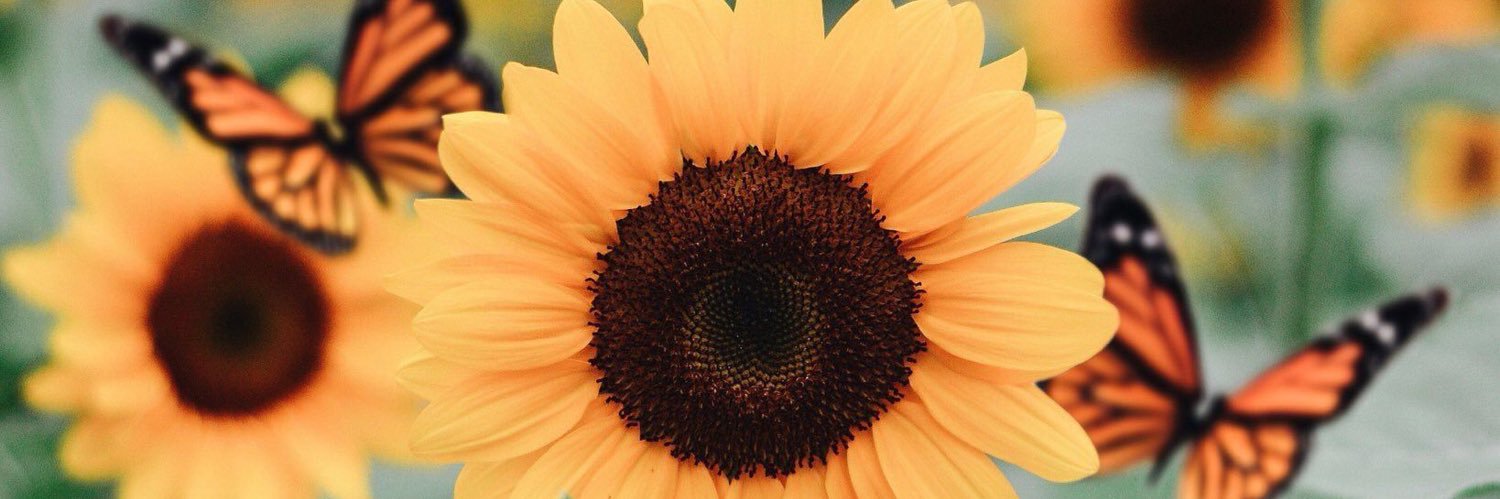 LA_Loving's profile banner image