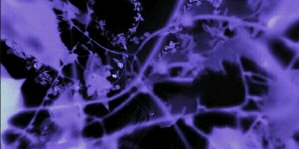 T___krr_'s profile banner image