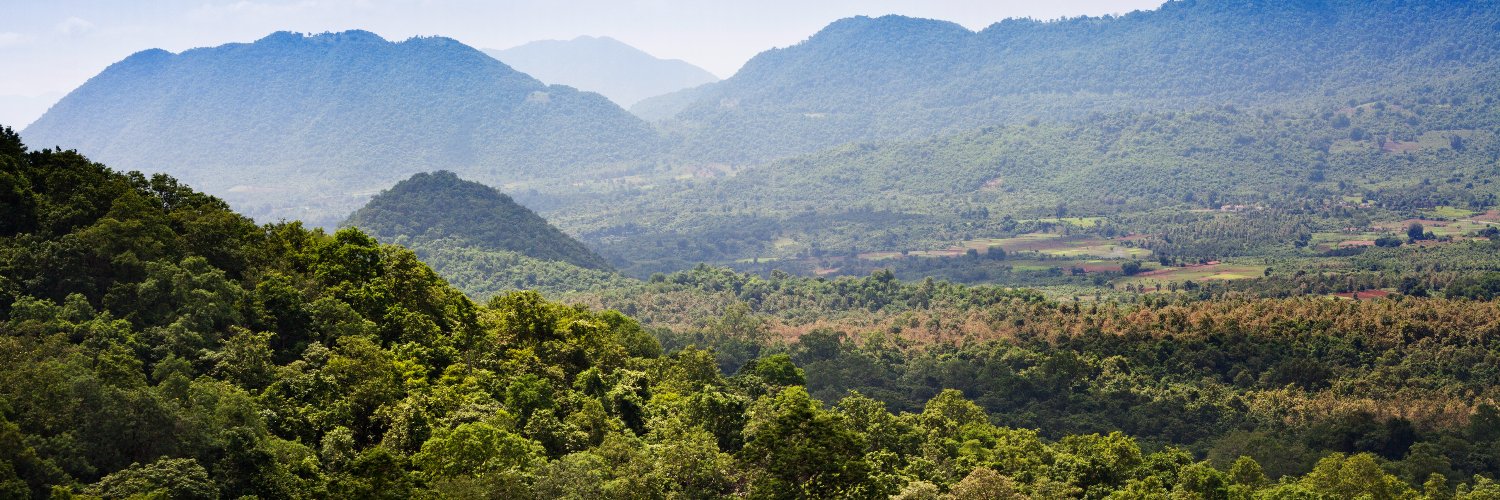 Rewilding Professionals banner