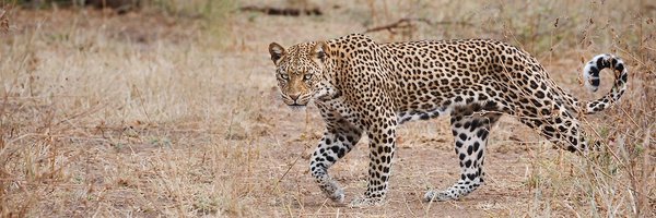 149MH Profile Banner