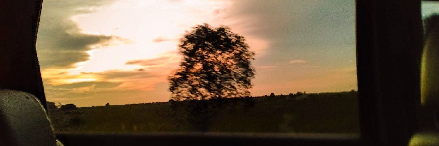 graaseel's profile banner image