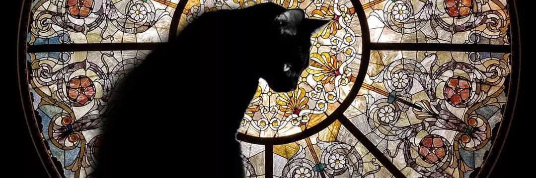 mr_cat banner