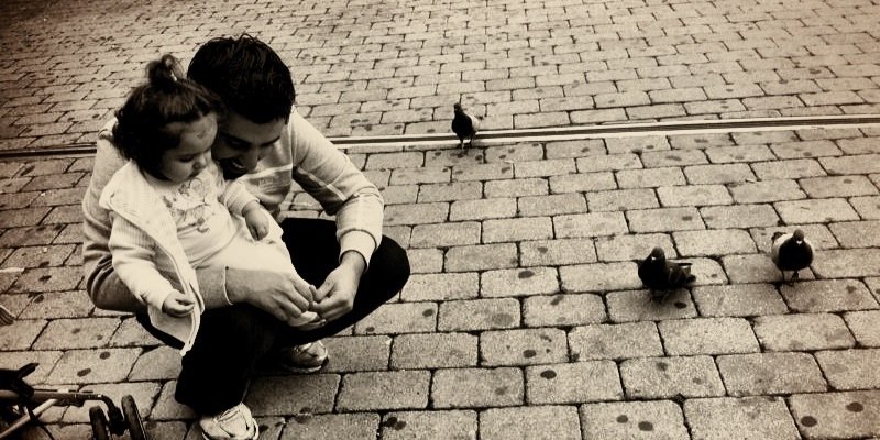 alajeelmoha's profile banner image