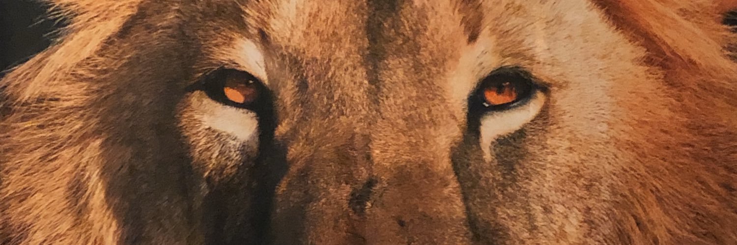 JojoKenise's profile banner image