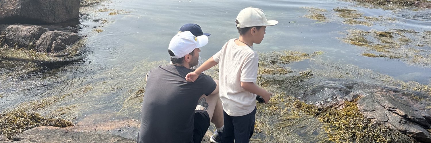 Cameron McCarthy banner