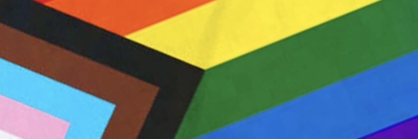 Dub Dave 🏳️‍🌈 banner