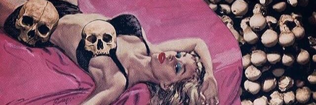 ashleybuchs's profile banner image