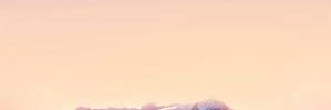강필중 banner