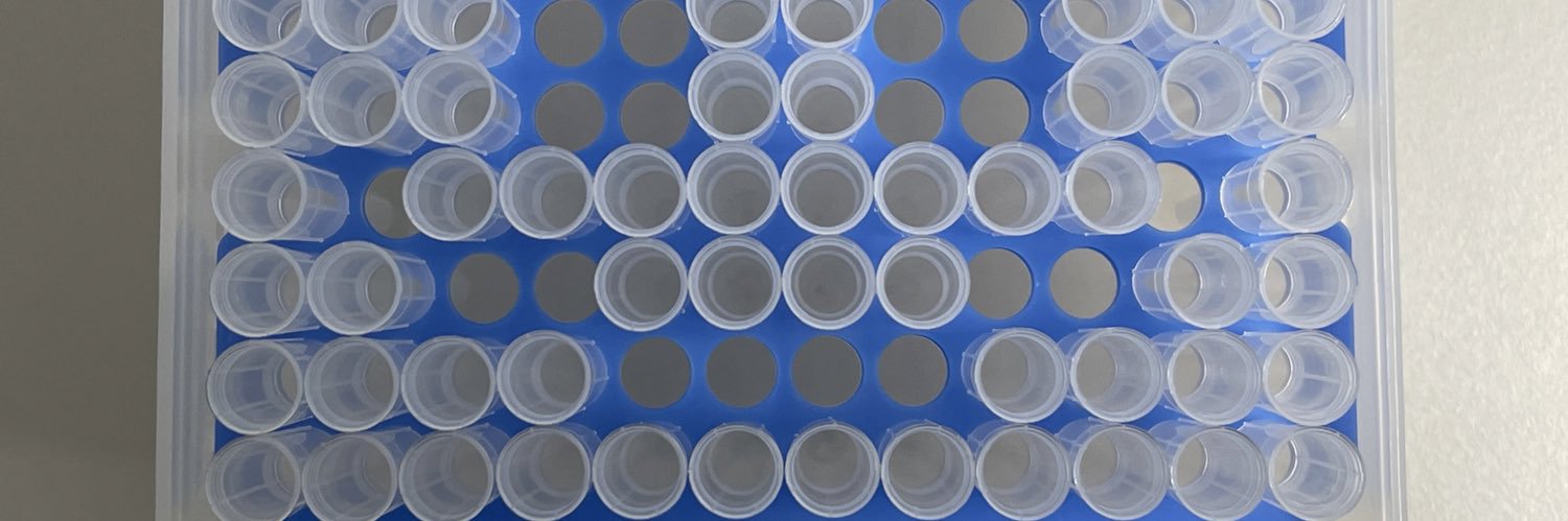 Rebekah Sayers banner