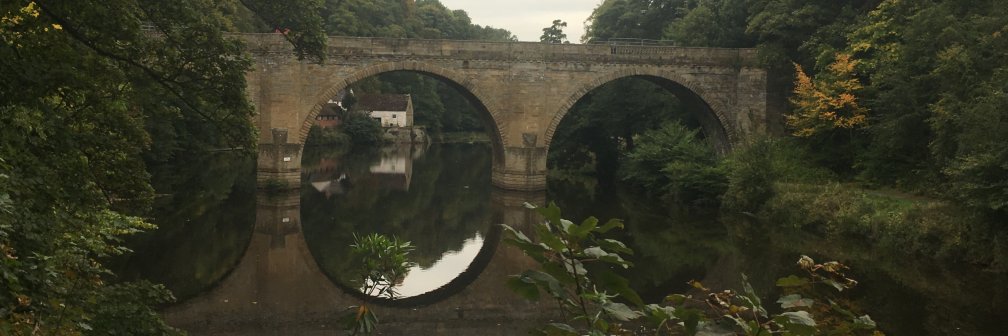 Dr Elizabeth Biggs banner