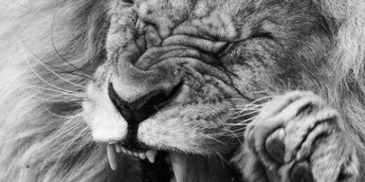 juancahm9's profile banner image