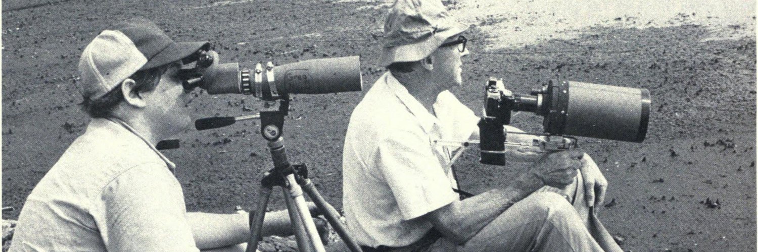 𝕭𝖊𝖆𝖘𝖙 𝖔𝖋 𝕭𝖎𝖗𝖉𝖎𝖓 banner