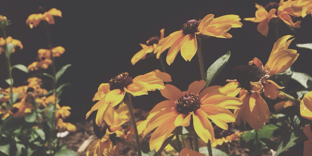 Ericaapaige's profile banner image