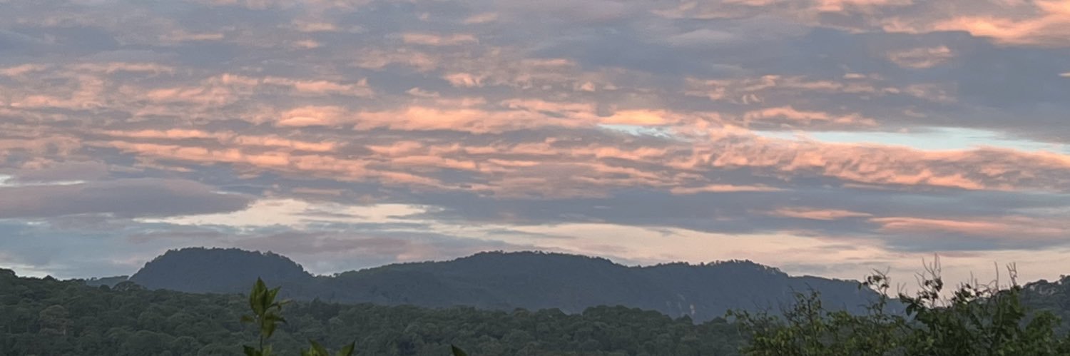isadelcue's profile banner image