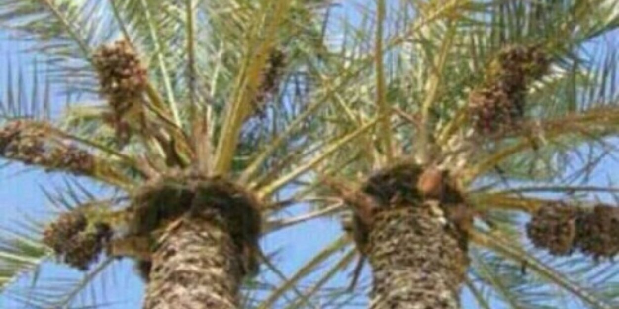 hussaintwt's profile banner image
