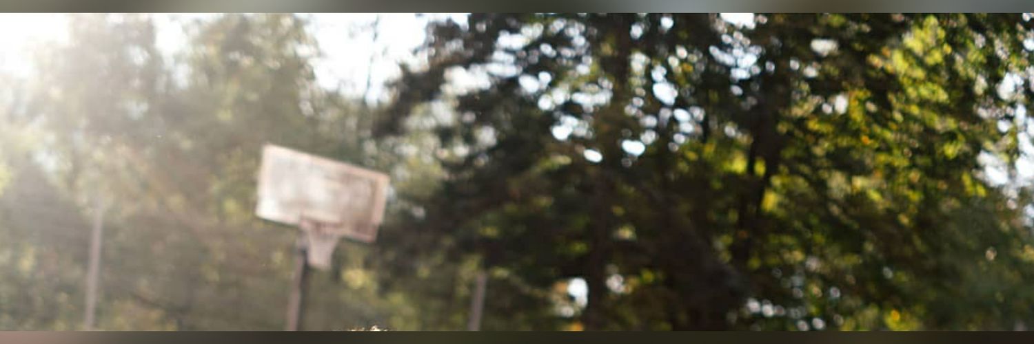 My_Flaut's profile banner image
