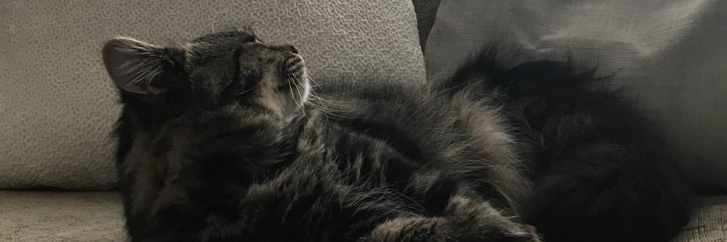 georgia_nutter's profile banner image
