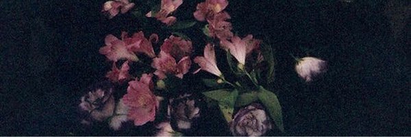 cagedesign Profile Banner