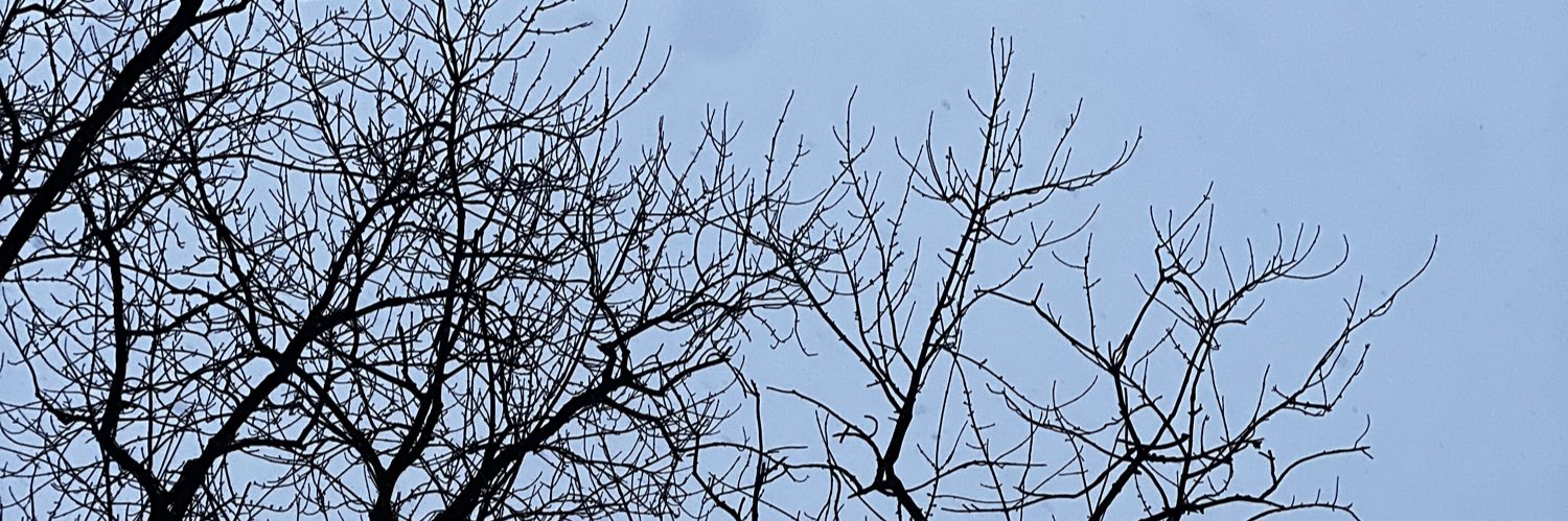 DanVHefner's profile banner image