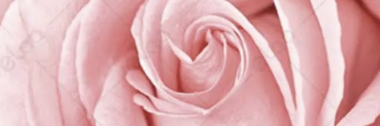 msgarys2's profile banner image