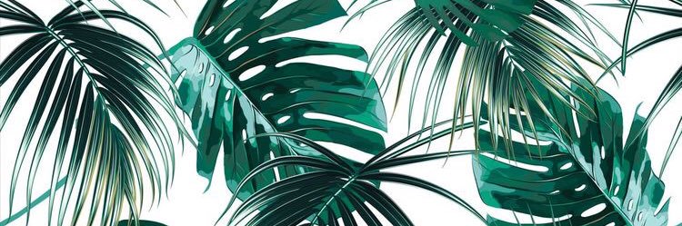 arianna_pla's profile banner image