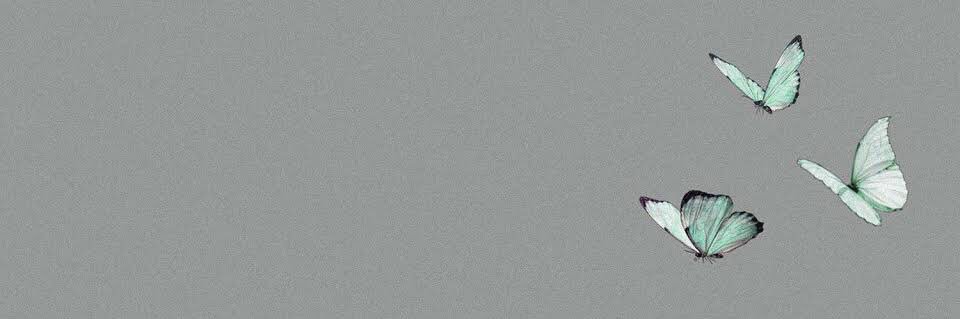 liahbebs's profile banner image