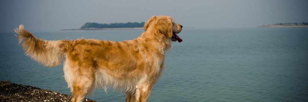 RRwinwinwin's profile banner image