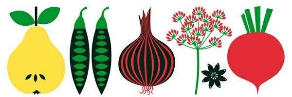 TheCurlyVegan's profile banner image