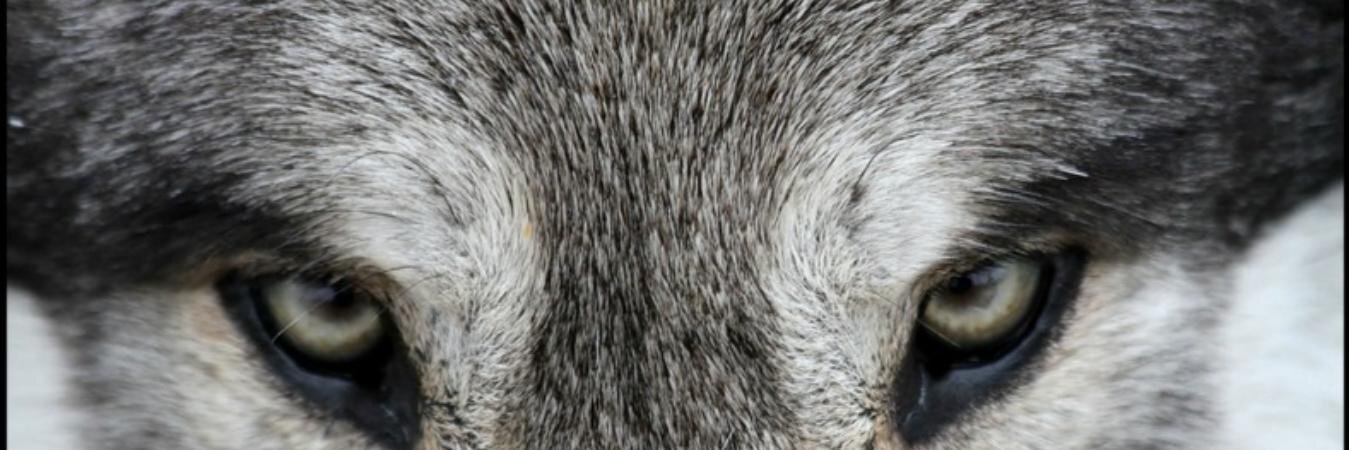 rockestereo77's profile banner image