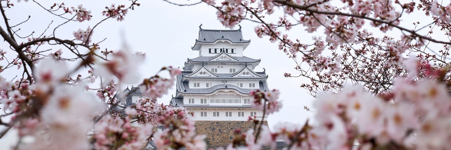 𝖒𝖎𝖟𝖊𝖗 ✧˖° banner