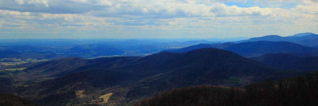 John Kluge 🐝 banner