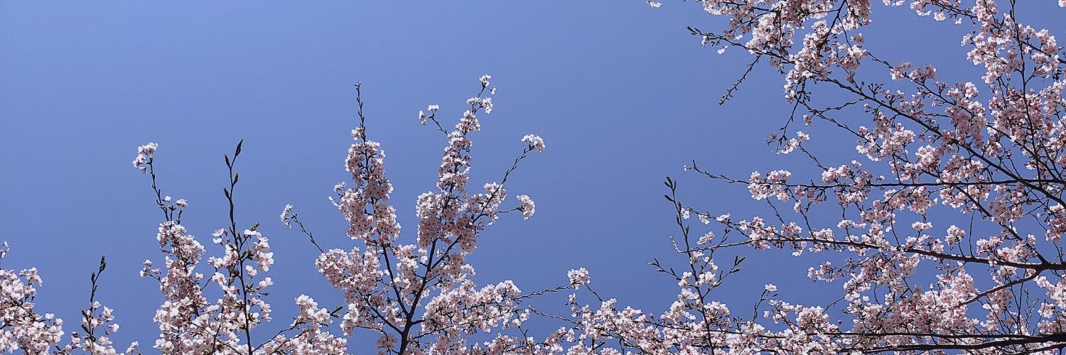 iloveparis331's profile banner image