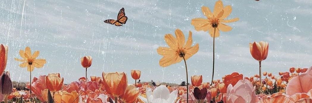 Mallory Jansen banner