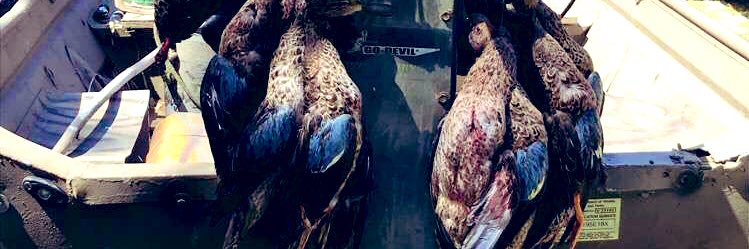 davidmcgill_'s profile banner image