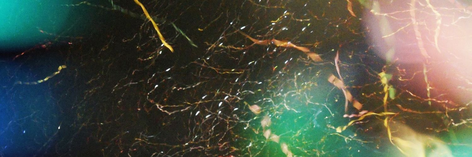matriusky's profile banner image