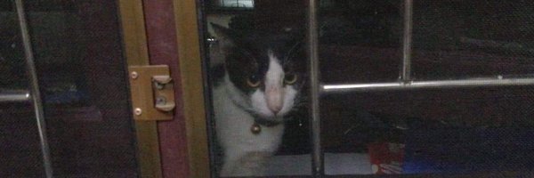 adoretherealme Profile Banner