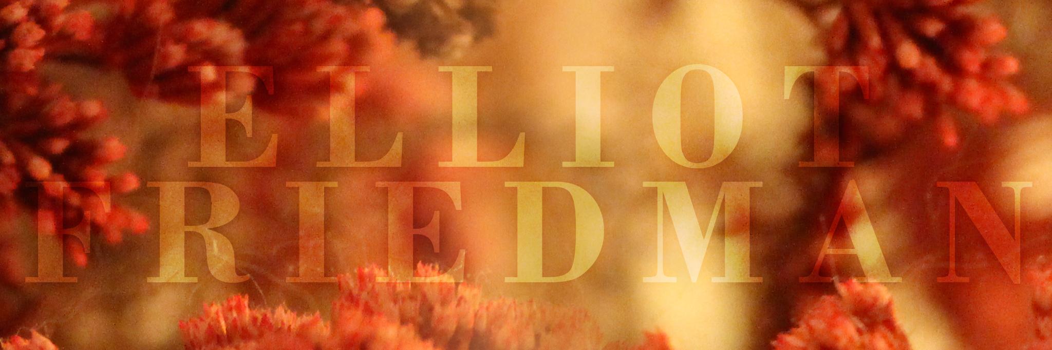 elliotfriedman's profile banner image