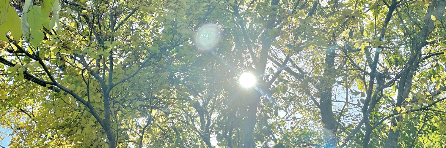 0hellosomething's profile banner image
