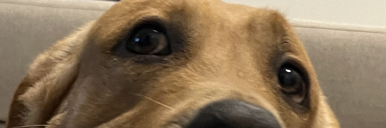 _paatm's profile banner image