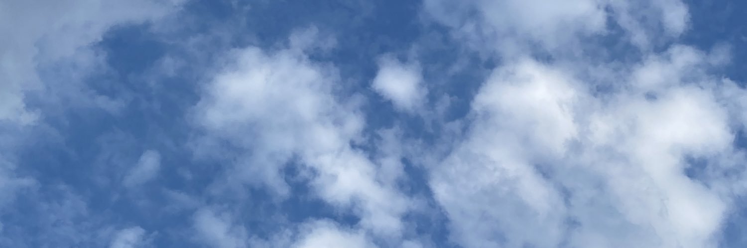 msalexandrarae's profile banner image