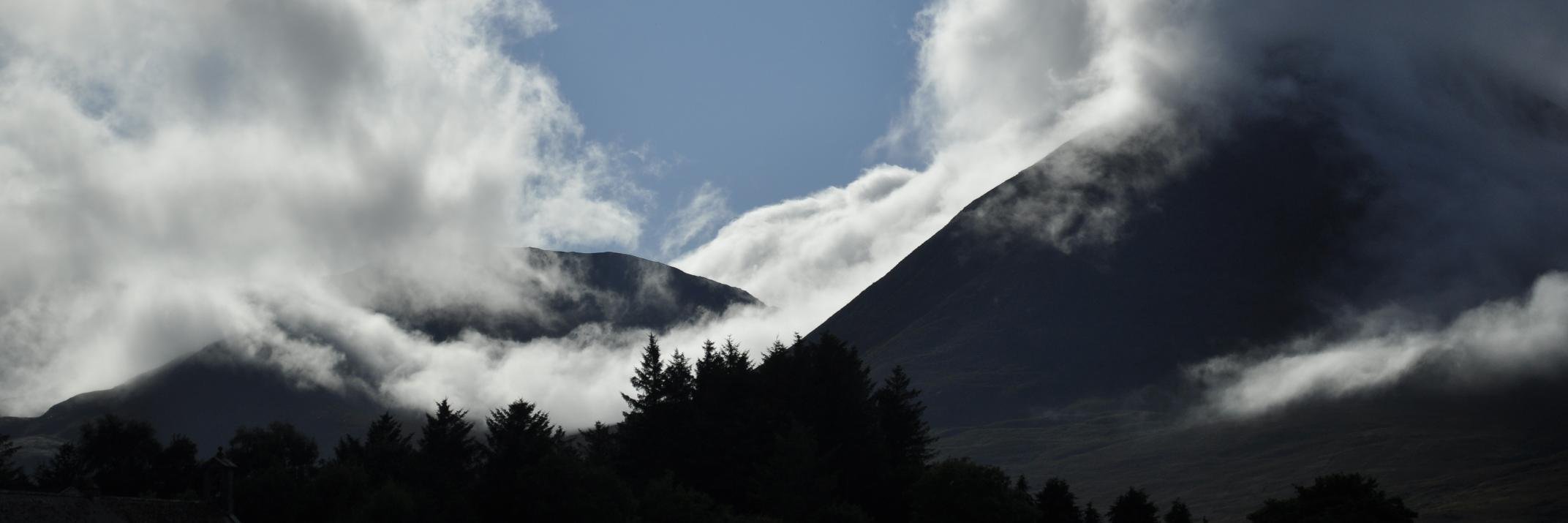 Jennifer Harkins banner