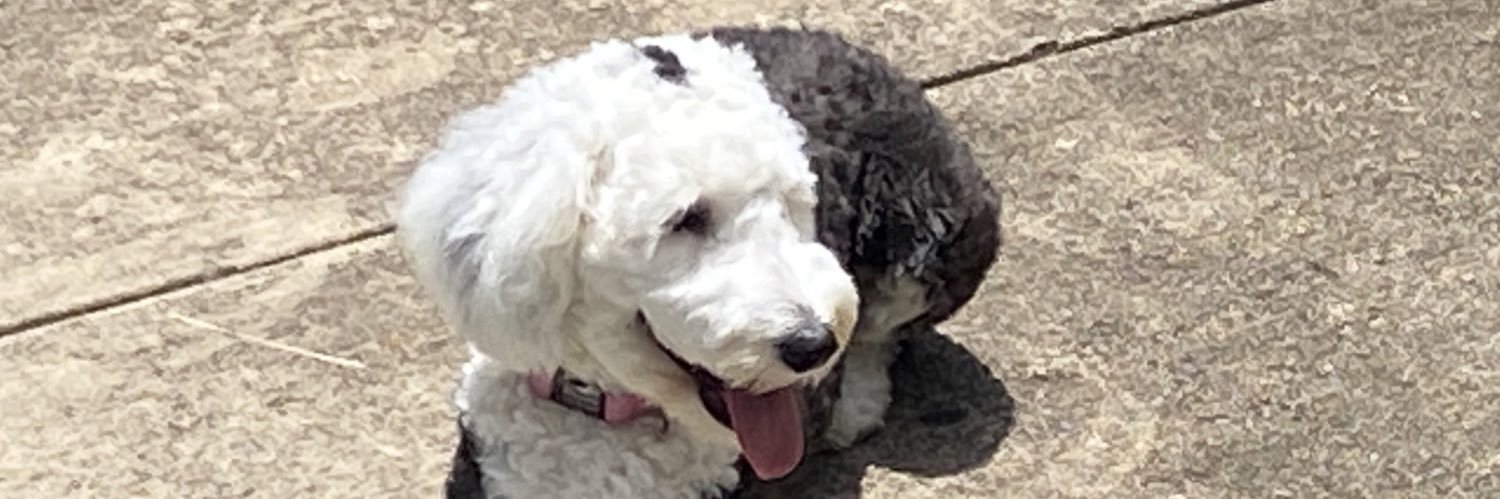 Brett Leonard banner