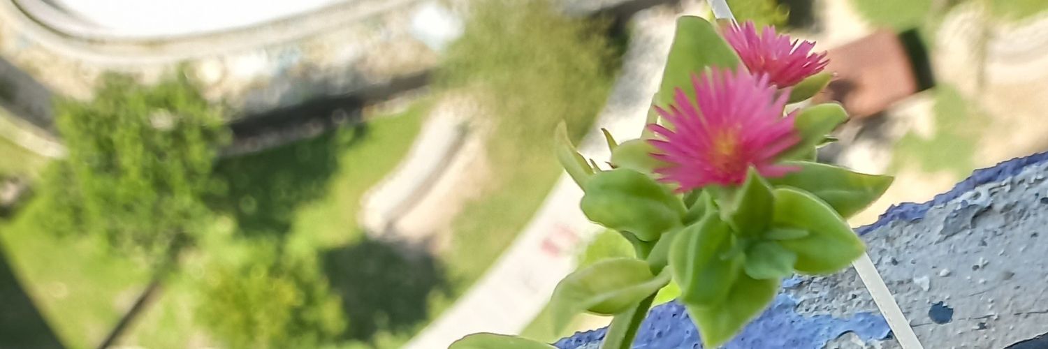 mimmii33's profile banner image