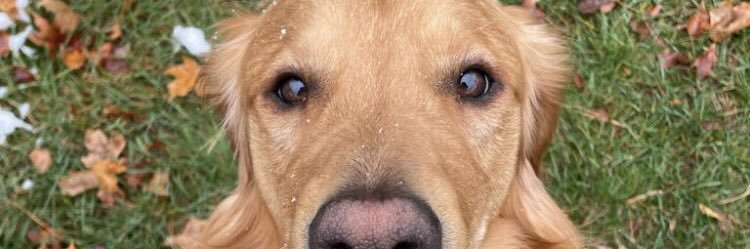 Cheryl Benson banner