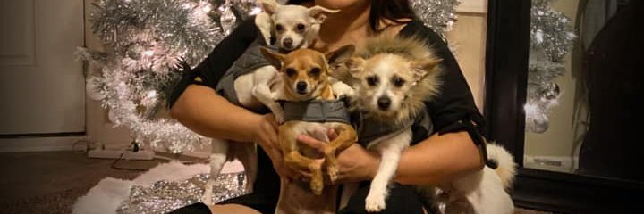 _soniae32's profile banner image