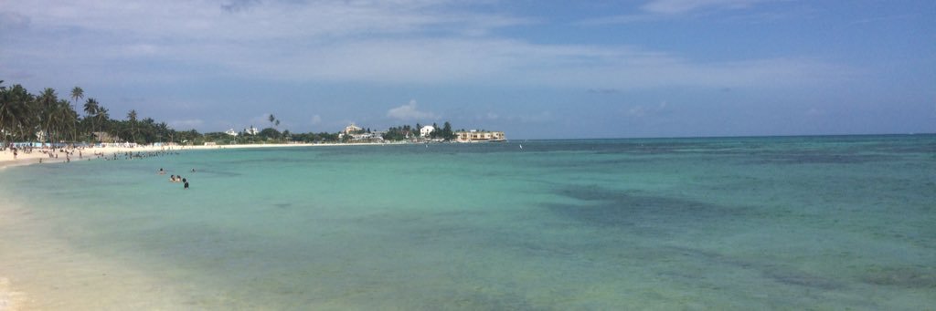 lnrdmedeiros's profile banner image